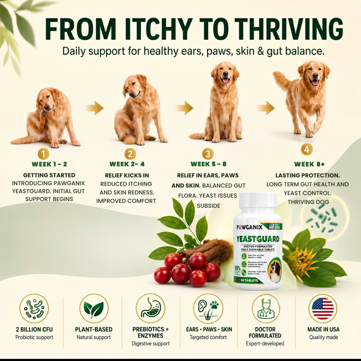 A dog's recovery journey from itchy to thriving